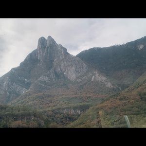 Meet your Posher, Laura alicia